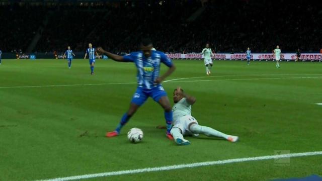 《鱼我一起：水愈时光》在鱼儿的陪伴下进入心流